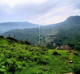 زمین ۵۰۰ متری در جاده آبپری رویان