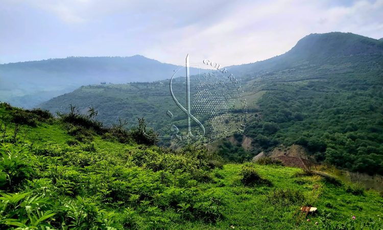 زمین ۵۰۰ متری در جاده آبپری رویان