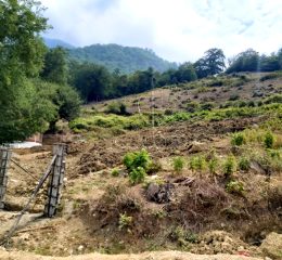 زمین ۱۰۰۰ متری در منطقه آبپری