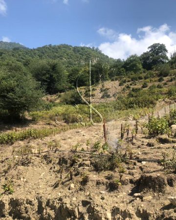 زمین ۱۰۰۰ متری در منطقه آبپری